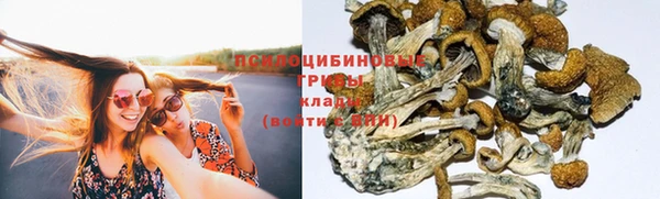 амф Армянск