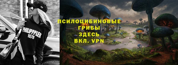 каннабис Аркадак