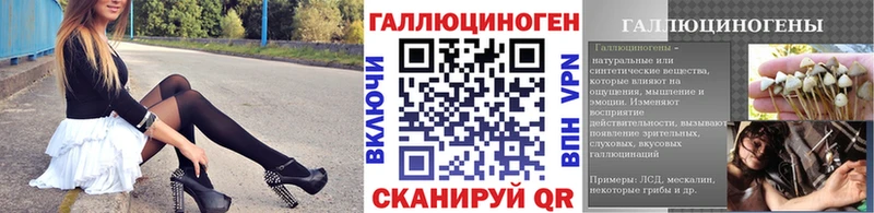 Псилоцибиновые грибы мицелий Рославль